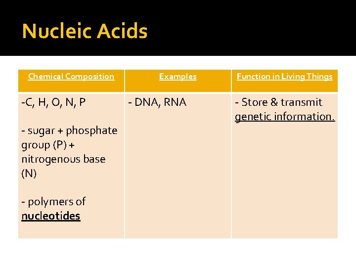 Nucleic Acids Chemical Composition -C, H, O, N, P - sugar + phosphate group
