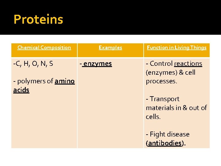 Proteins Chemical Composition -C, H, O, N, S - polymers of amino acids Examples
