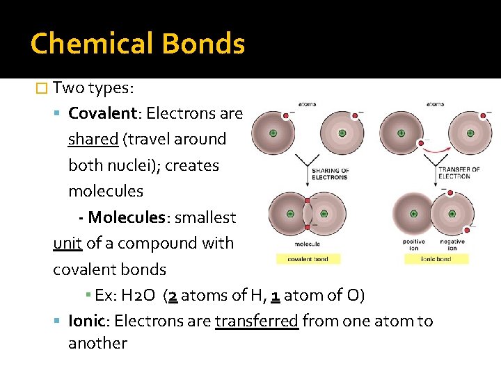 Chemical Bonds � Two types: Covalent: Electrons are shared (travel around both nuclei); creates