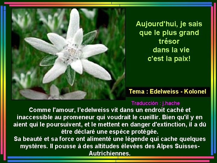 Aujourd'hui, je sais que le plus grand trésor dans la vie c'est la paix!