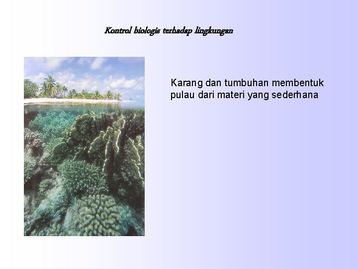 Kontrol biologis terhadap lingkungan Karang dan tumbuhan membentuk pulau dari materi yang sederhana 