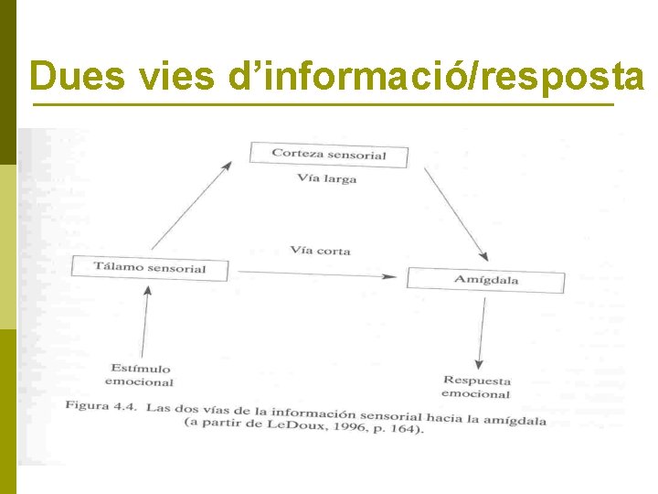 Dues vies d’informació/resposta 