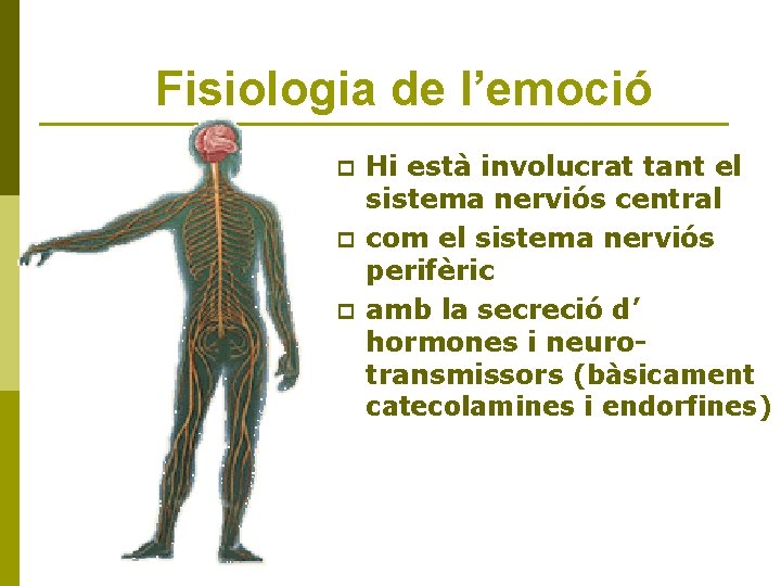 Fisiologia de l’emoció p p p Hi està involucrat tant el sistema nerviós central