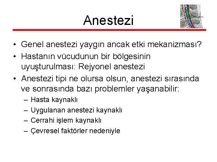 Anestezi • Genel anestezi yaygın ancak etki mekanizması? • Hastanın vücudunun bir bölgesinin uyuşturulması: