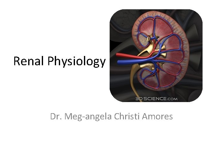 Renal Physiology Dr. Meg-angela Christi Amores 