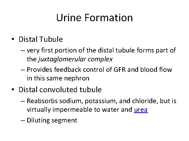 Urine Formation • Distal Tubule – very first portion of the distal tubule forms