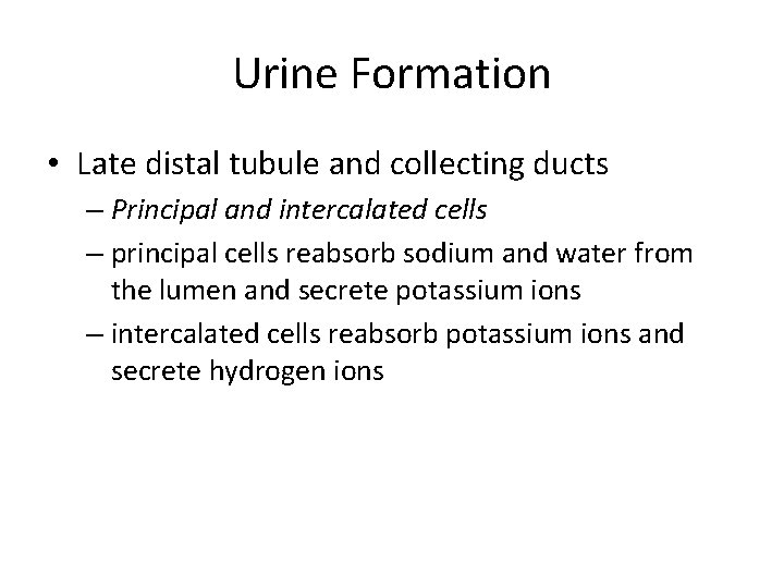 Urine Formation • Late distal tubule and collecting ducts – Principal and intercalated cells