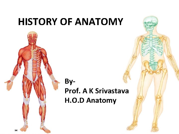 HISTORY OF ANATOMY By. Prof. A K Srivastava H. O. D Anatomy 
