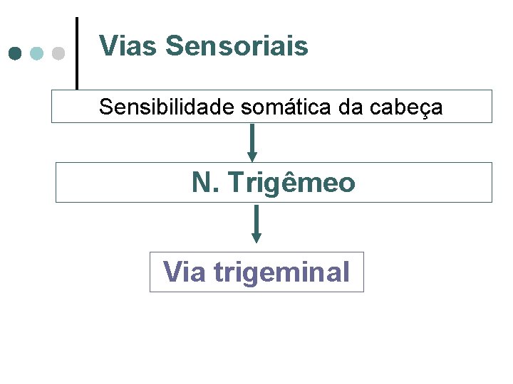 Vias Sensoriais Sensibilidade somática da cabeça N. Trigêmeo Via trigeminal 