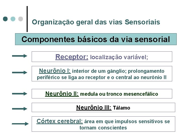 Organização geral das vias Sensoriais Componentes básicos da via sensorial Receptor: localização variável; Neurônio