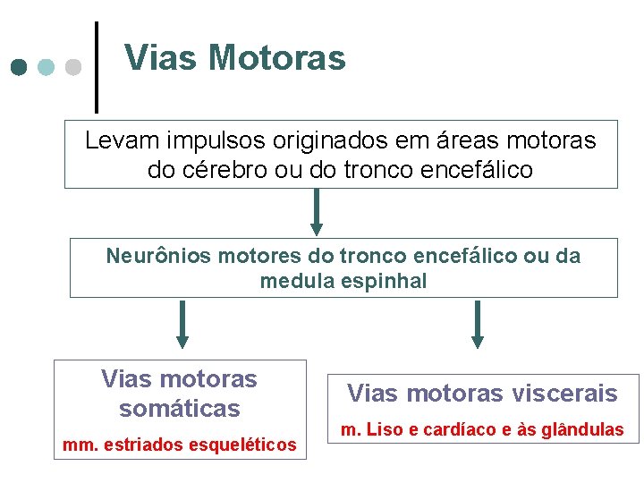 Vias Motoras Levam impulsos originados em áreas motoras do cérebro ou do tronco encefálico