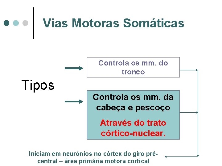 Vias Motoras Somáticas Controla os mm. do tronco Tipos Controla os mm. da cabeça