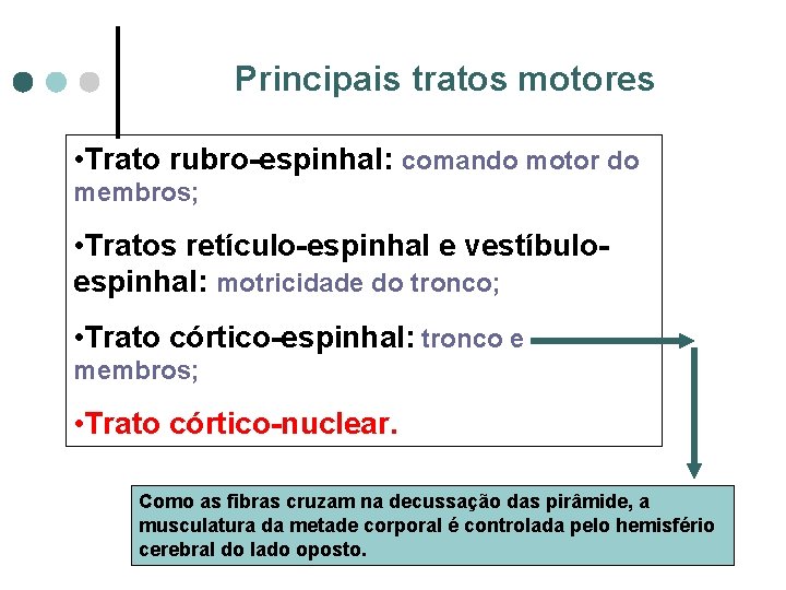 Principais tratos motores • Trato rubro-espinhal: comando motor do membros; • Tratos retículo-espinhal e