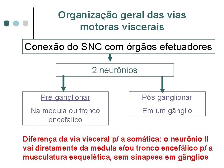 Organização geral das vias motoras viscerais Conexão do SNC com órgãos efetuadores 2 neurônios