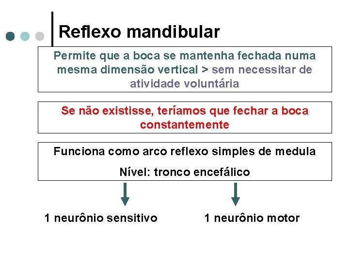 Reflexo mandibular Permite que a boca se mantenha fechada numa mesma dimensão vertical >