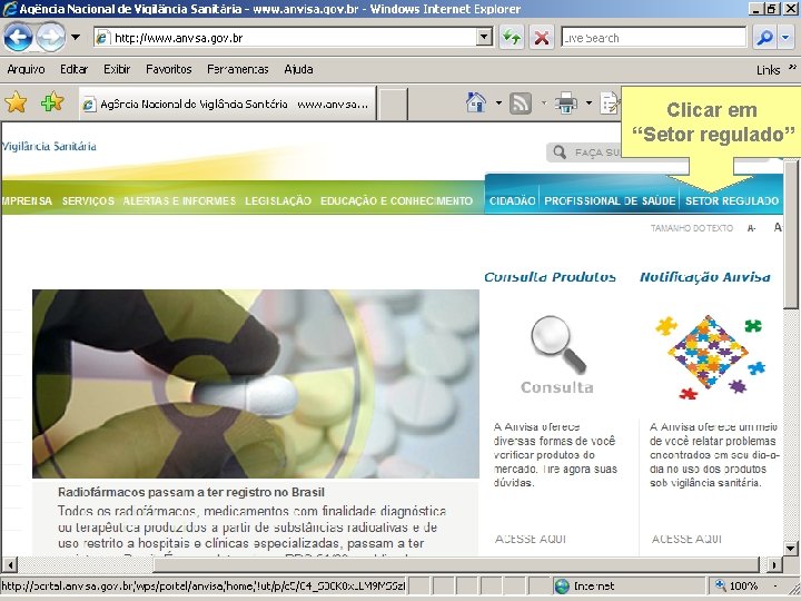 Sistema Nacional de Gerenciamento de Produtos Controlados Clicar em “Setor regulado” Sítio eletrônico: www.