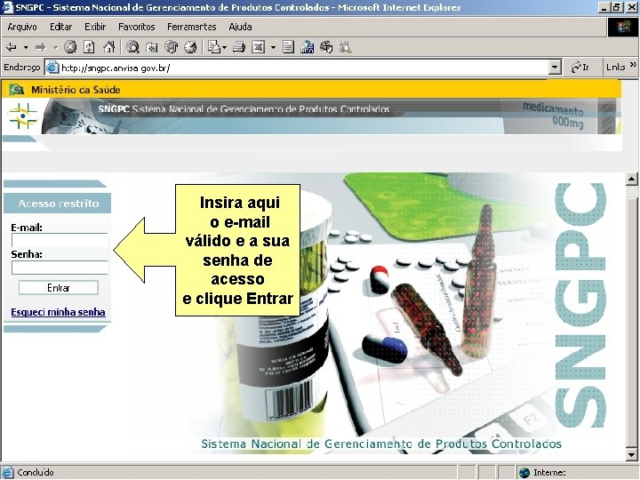 Sistema Nacional de Gerenciamento de Produtos Controlados Insira aqui o e-mail válido e a