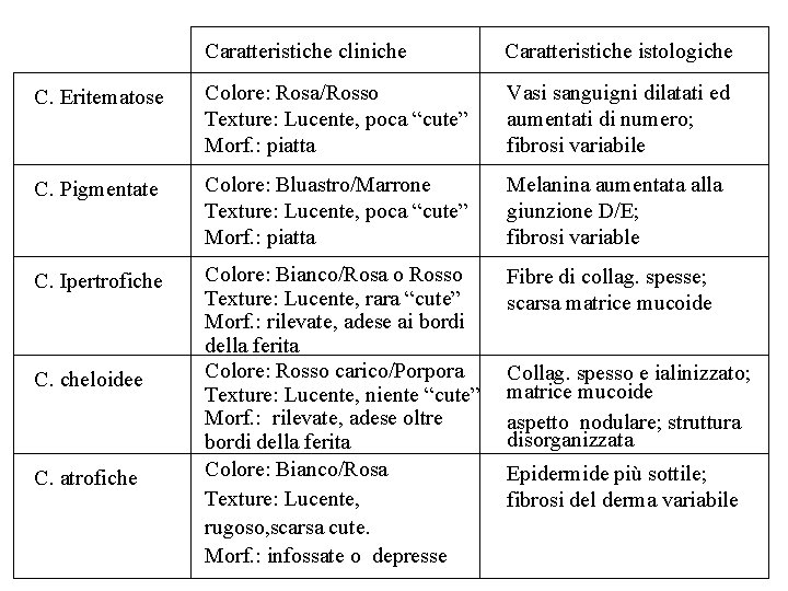 Caratteristiche cliniche Caratteristiche istologiche C. Eritematose Colore: Rosa/Rosso Texture: Lucente, poca “cute” Morf. :