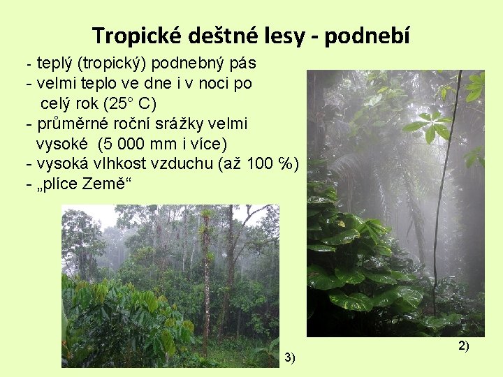 Tropické deštné lesy - podnebí teplý (tropický) podnebný pás - velmi teplo ve dne