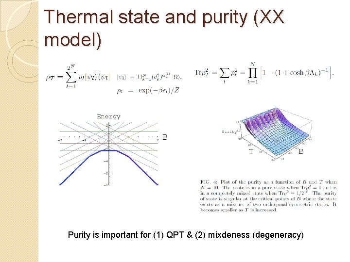 Thermal state and purity (XX model) Purity is important for (1) QPT & (2)