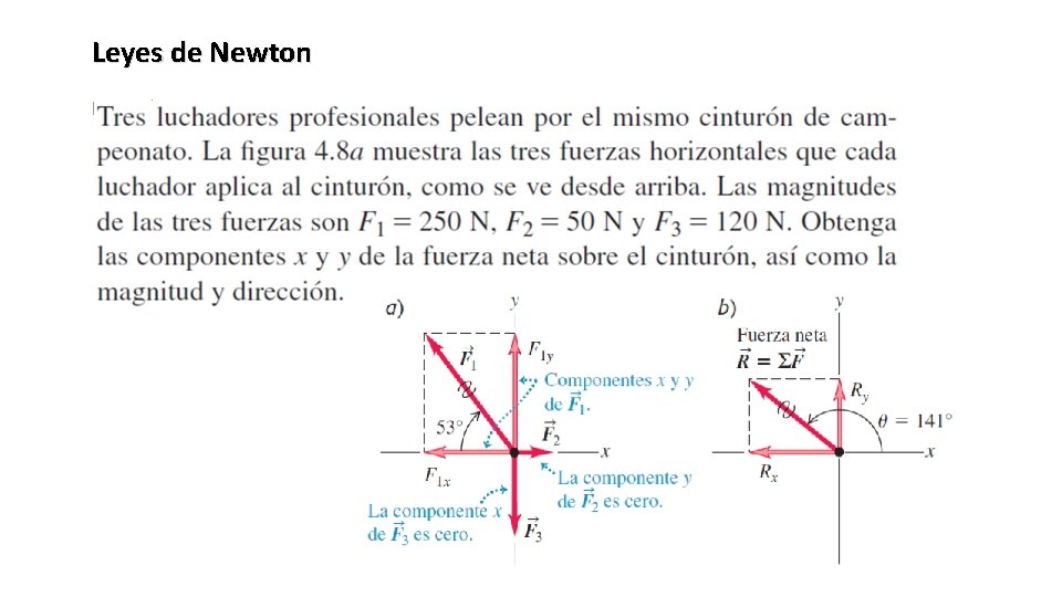 Leyes de Newton Ejemplo 