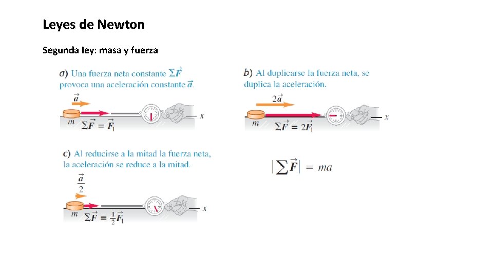 Leyes de Newton Segunda ley: masa y fuerza 