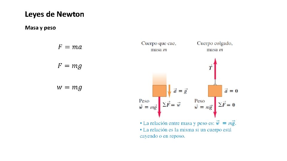 Leyes de Newton Masa y peso 