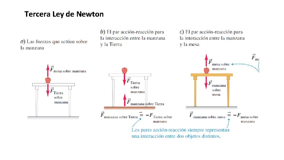 Tercera Ley de Newton 