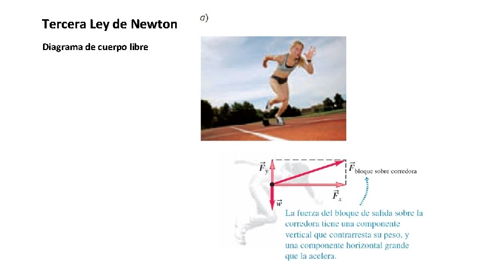 Tercera Ley de Newton Diagrama de cuerpo libre 