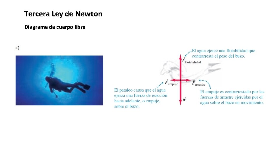 Tercera Ley de Newton Diagrama de cuerpo libre 