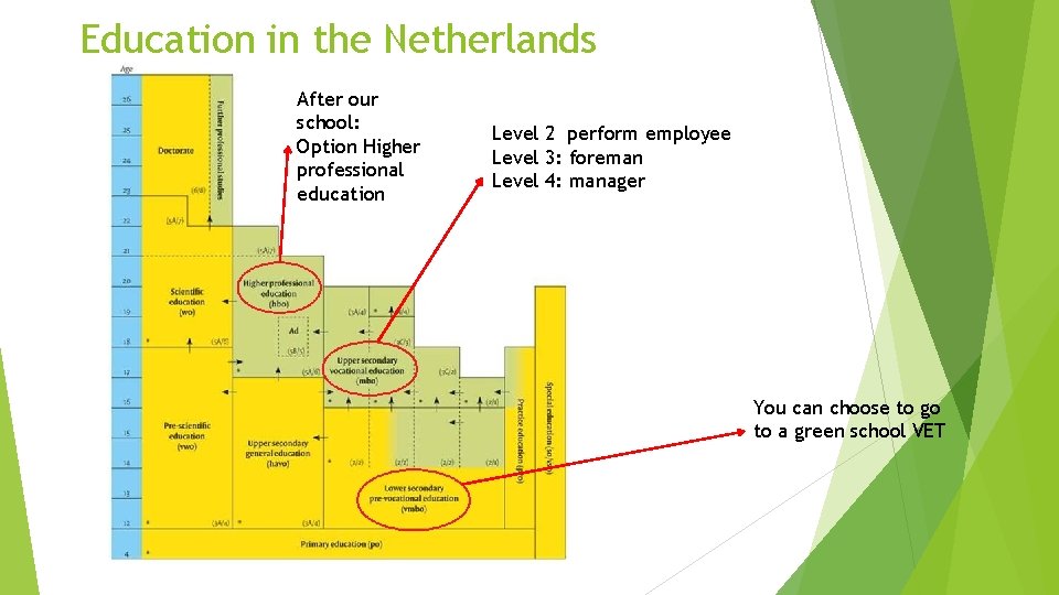 Education in the Netherlands After our school: Option Higher professional education Level 2 perform