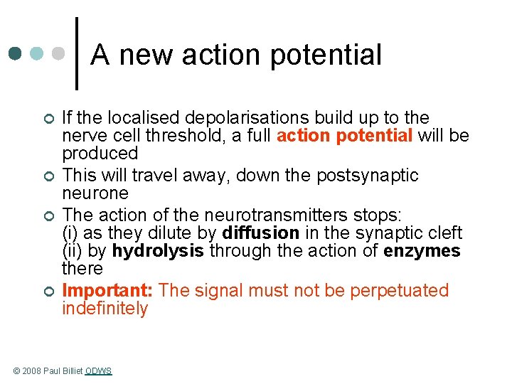 A new action potential ¢ ¢ If the localised depolarisations build up to the