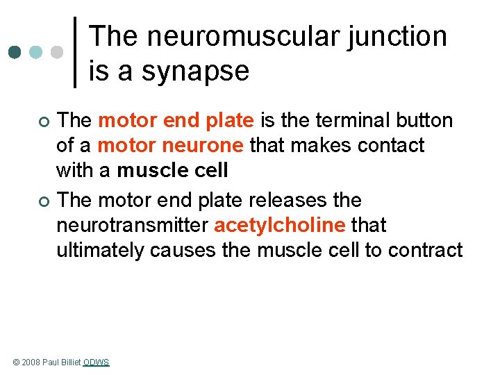 The neuromuscular junction is a synapse The motor end plate is the terminal button