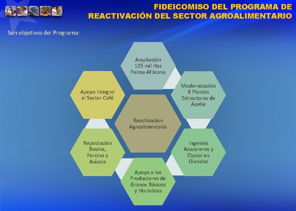 FIDEICOMISO DEL PROGRAMA DE REACTIVACIÓN DEL SECTOR AGROALIMENTARIO Son objetivos del Programa: Ampliación 125