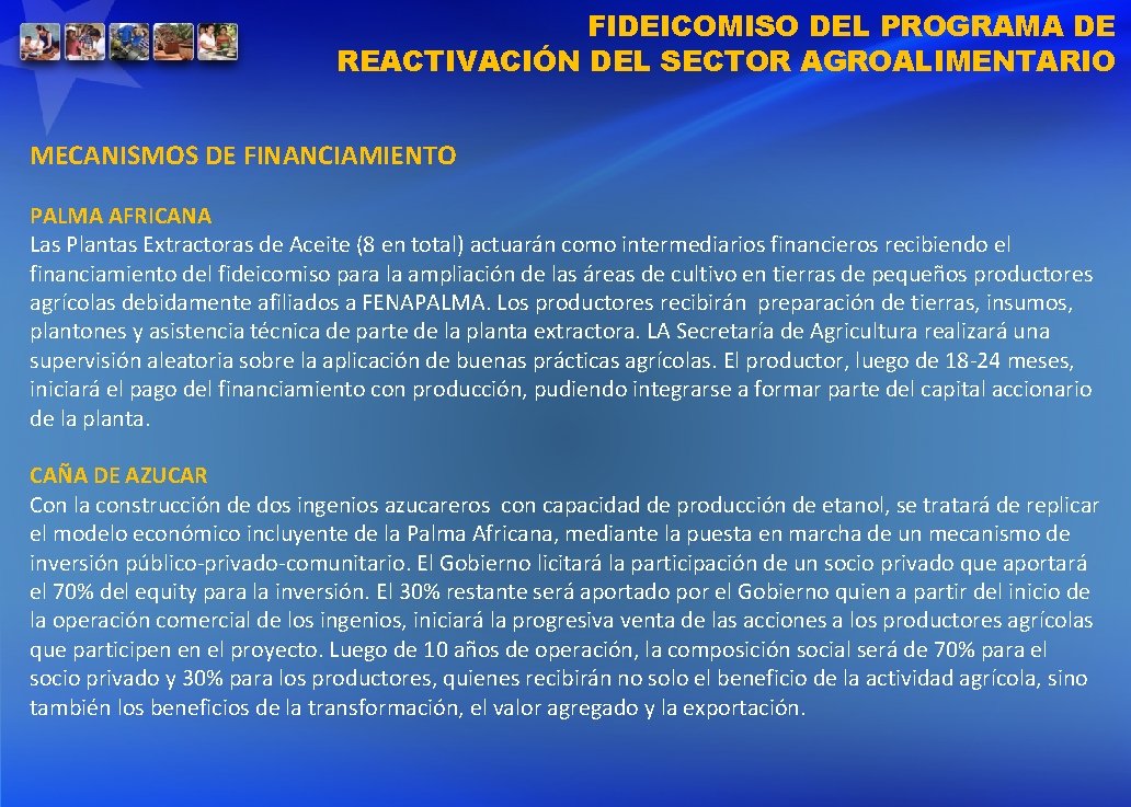 FIDEICOMISO DEL PROGRAMA DE REACTIVACIÓN DEL SECTOR AGROALIMENTARIO MECANISMOS DE FINANCIAMIENTO PALMA AFRICANA Las