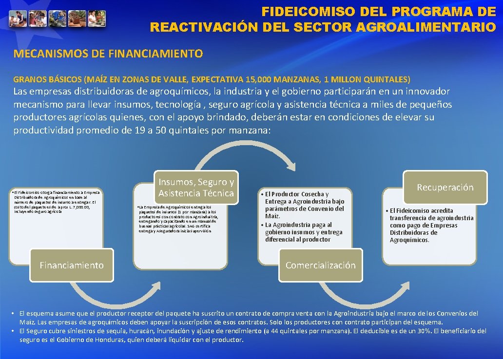 FIDEICOMISO DEL PROGRAMA DE REACTIVACIÓN DEL SECTOR AGROALIMENTARIO MECANISMOS DE FINANCIAMIENTO GRANOS BÁSICOS (MAÍZ