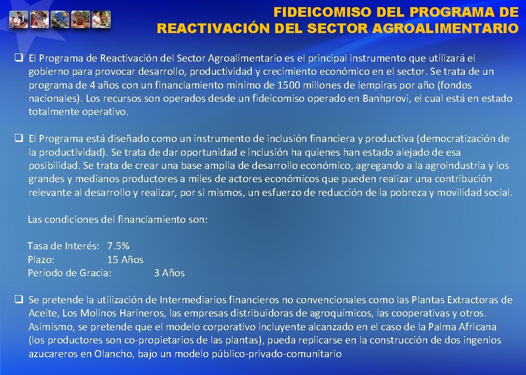 FIDEICOMISO DEL PROGRAMA DE REACTIVACIÓN DEL SECTOR AGROALIMENTARIO q El Programa de Reactivación del