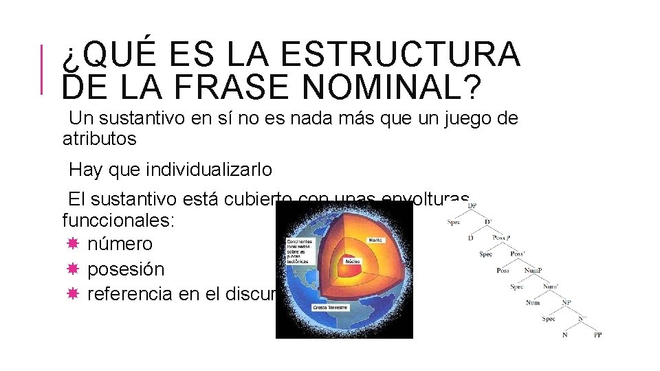 EXPLORANDO LA ESTRUCTURA DE LA FRASE NOMINAL EN