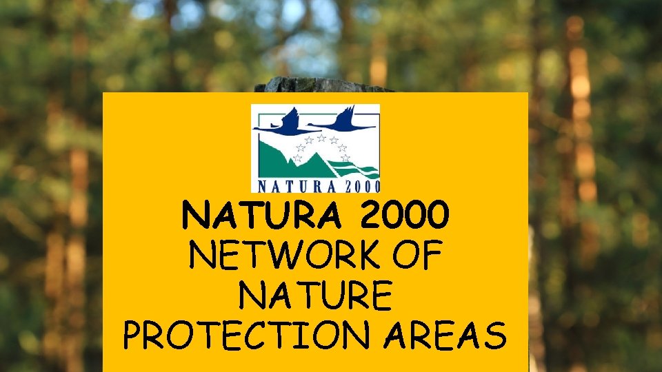 NATURA 2000 NETWORK OF NATURE PROTECTION AREAS 