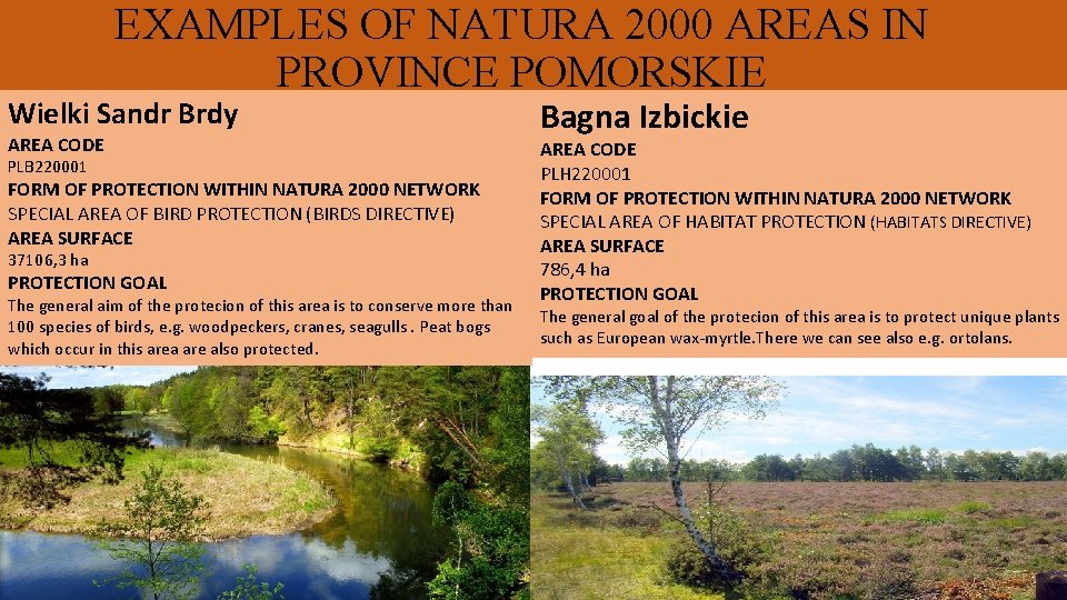 EXAMPLES OF NATURA 2000 AREAS IN PROVINCE POMORSKIE Wielki Sandr Brdy AREA CODE PLB