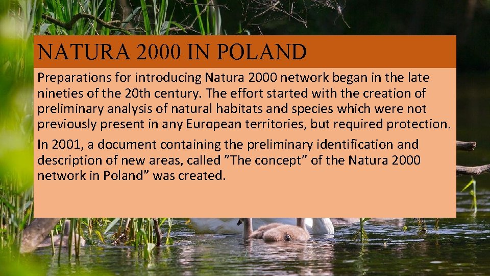 NATURA 2000 IN POLAND Preparations for introducing Natura 2000 network began in the late