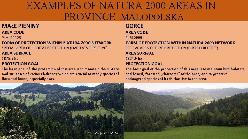 EXAMPLES OF NATURA 2000 AREAS IN PROVINCE MALOPOLSKA MAŁE PIENINY GORCE PLH 120025 PLB