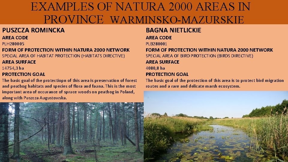 EXAMPLES OF NATURA 2000 AREAS IN PROVINCE WARMINSKO-MAZURSKIE PUSZCZA ROMINCKA BAGNA NIETLICKIE PLH 280005