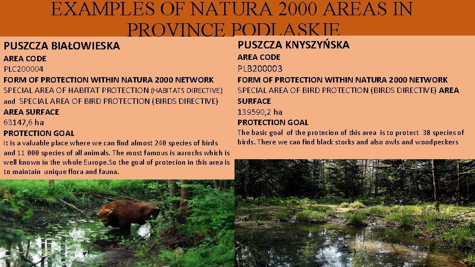 EXAMPLES OF NATURA 2000 AREAS IN PROVINCE PODLASKIE PUSZCZA BIAŁOWIESKA AREA CODE PLC 200004