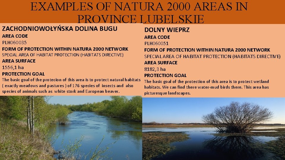 EXAMPLES OF NATURA 2000 AREAS IN PROVINCE LUBELSKIE ZACHODNIOWOŁYŃSKA DOLINA BUGU AREA CODE PLH