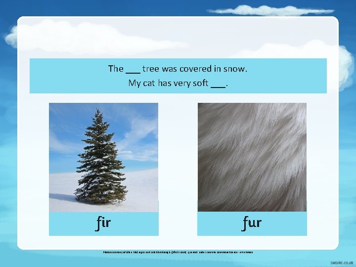 The ___ tree was covered in snow. My cat has very soft ___. fir