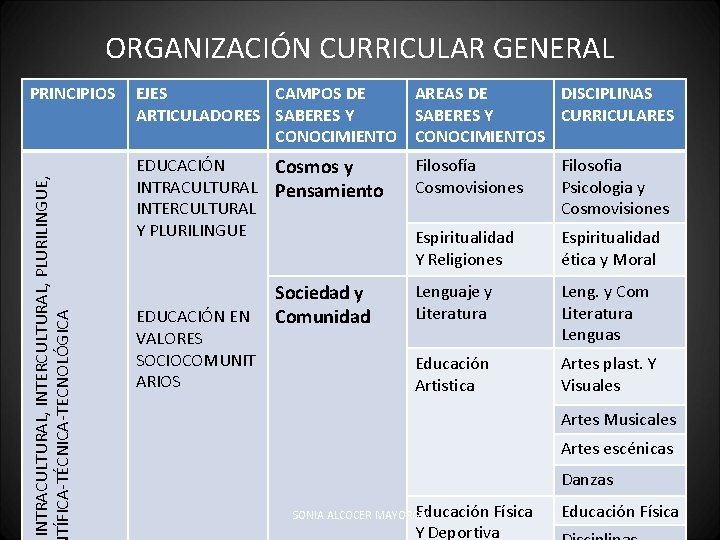 ORGANIZACIÓN CURRICULAR GENERAL INTRACULTURAL, INTERCULTURAL, PLURILINGUE, TÍFICA-TÉCNICA-TECNOLÓGICA PRINCIPIOS EJES CAMPOS DE AREAS DE DISCIPLINAS