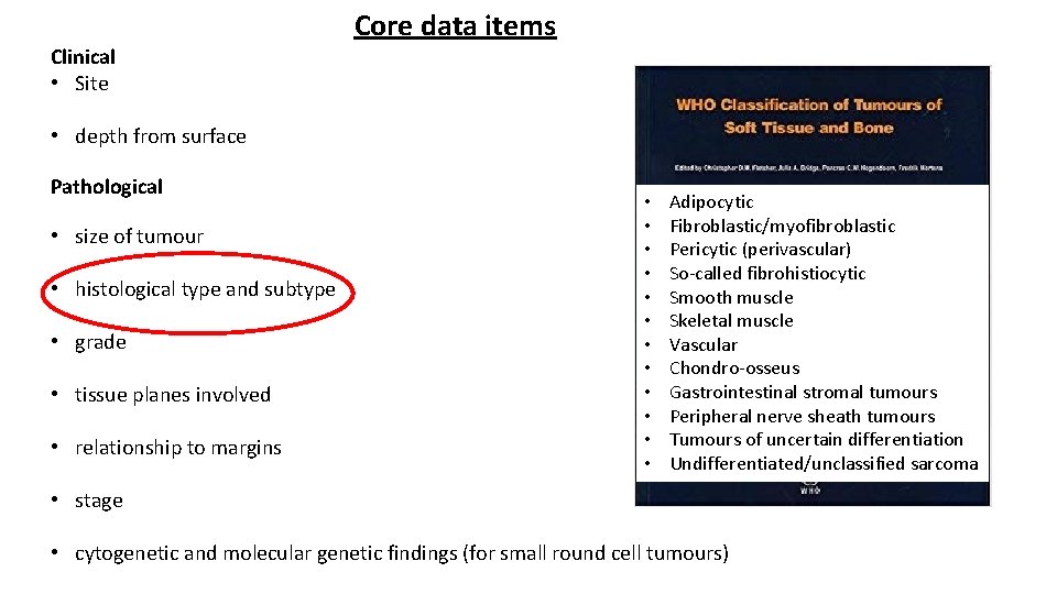 Clinical • Site Core data items • depth from surface Pathological • size of