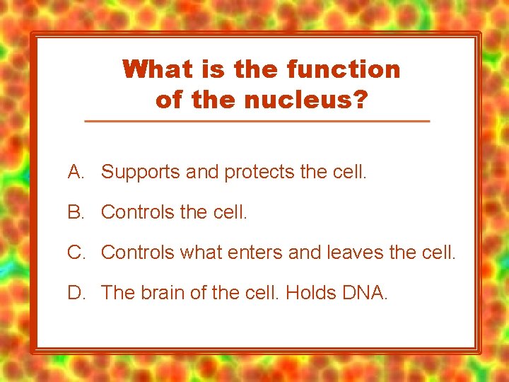 What is the function of the nucleus? A. Supports and protects the cell. B.