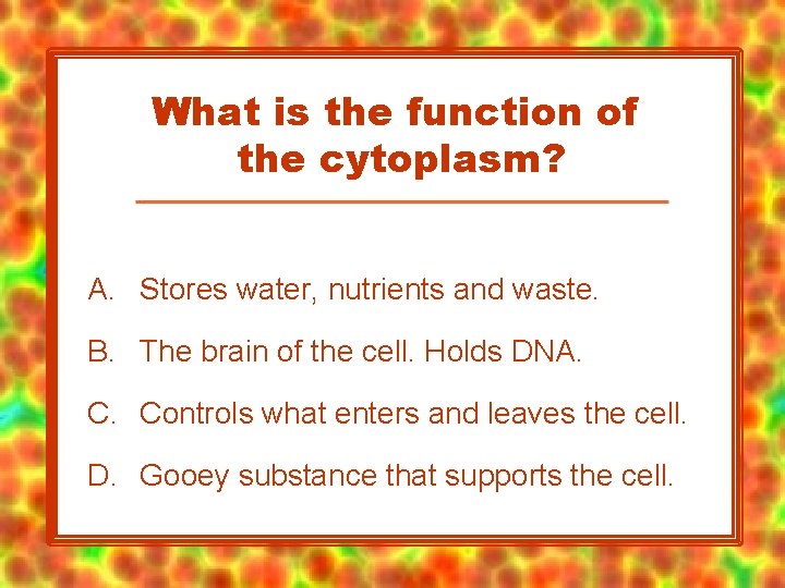 What is the function of the cytoplasm? A. Stores water, nutrients and waste. B.